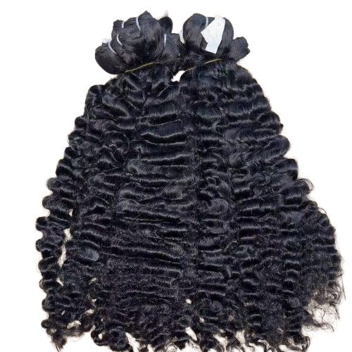 Burmese Curly